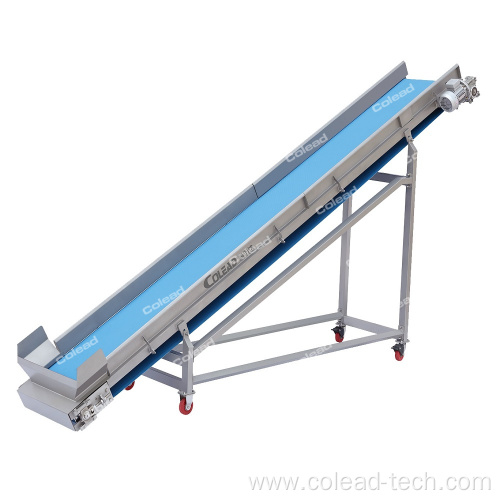 Commercial vegetable processing line with ozone